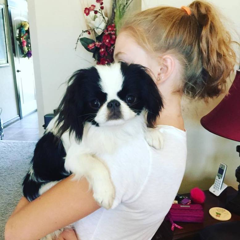 14642183_1457441780949494_4306893501638734861_n