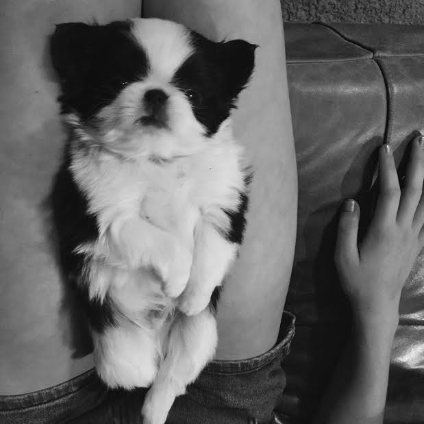 fe717f8f-fdd1-4667-9617-cbb9aa739034