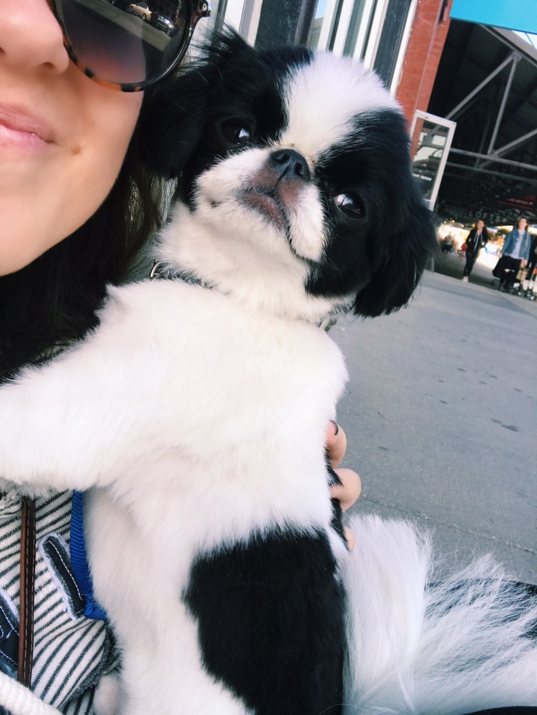 Processed with VSCO with c1 preset